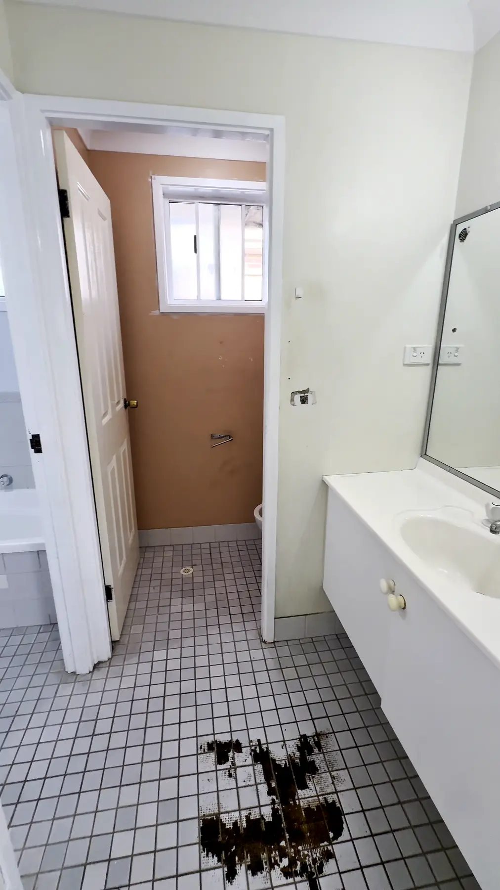 Bathroom & toilet combined before, Lake Haven